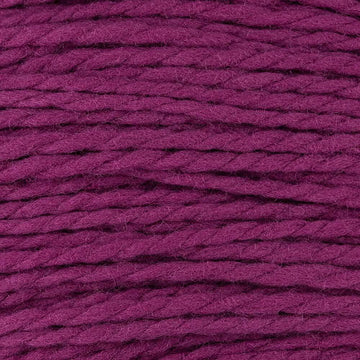 Cascade Yarns Eco+ Merino