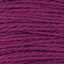 Boysenberry (01)