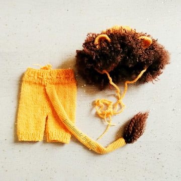 Lion Diaper Cover and Cap