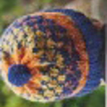 Unisex Fair Isle Hat