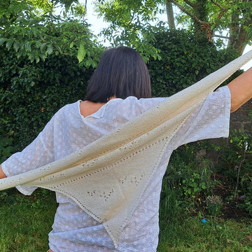 Little Seagull Shawl
