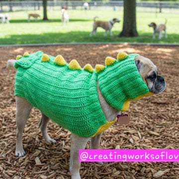 Dino Dog Sweater Costume
