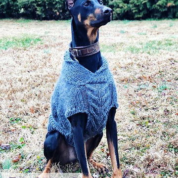 Maximus Dog Sweater