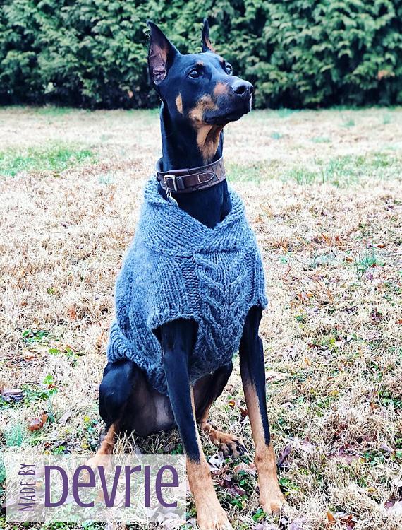 Maximus Dog Sweater