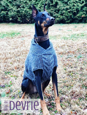 Maximus Dog Sweater