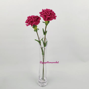 Carnation