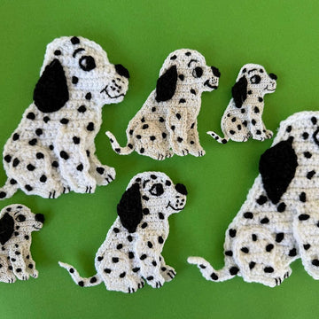 Dalmatian Pup