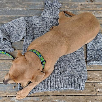 Voyager Sweater