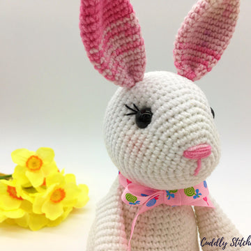 Betty the Bunny Rabbit