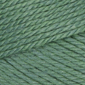 Ivy Heather (130)