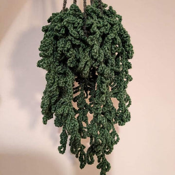 Hanging happiness plant