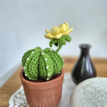 Cactus plant with flower