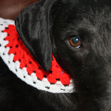 Crochet Pet Bandana - 3 Ways