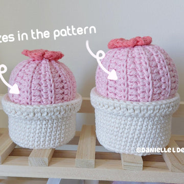 Cactus pin cushion with storage box