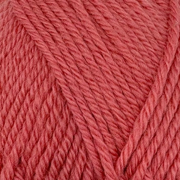Pink rhubarb (2175)