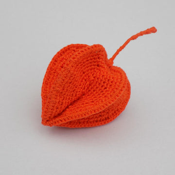 Physalis Plant (Chinese Lantern)