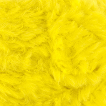 Golden Canary (23)