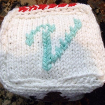 123ABC Baby Blocks "V"