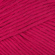 Raspberry (033)