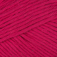 Raspberry (033)