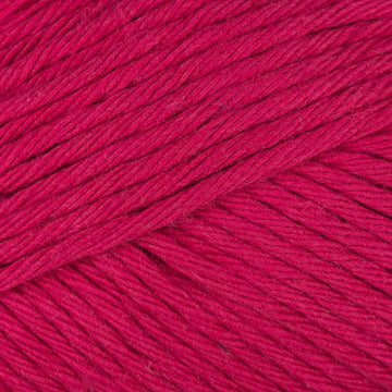 Raspberry (033)