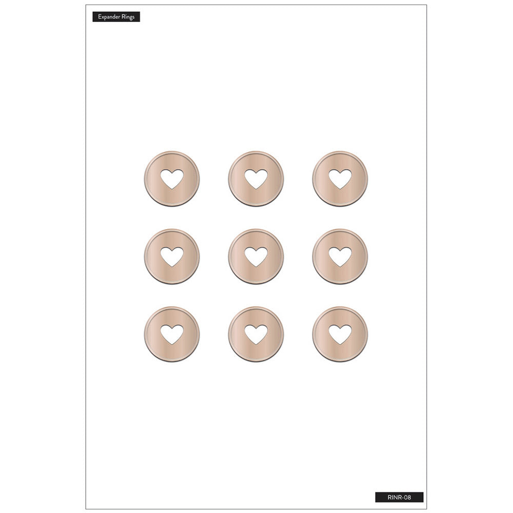 The Happy Planner Rose Gold Classic Disc