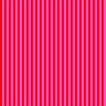 Tula Pink True Colors Tent Stripe - Peony