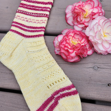 Stitchery Sampler Socks