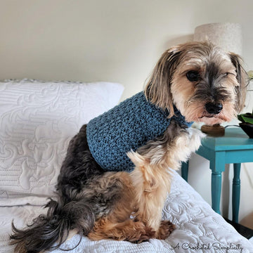 Chewy's Dog Sweater