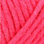 Fuchsia (00056)