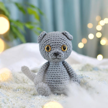 Scottish Fold cat