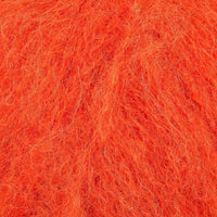 Pumpkin (014)