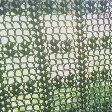 One Step at a Time Shawl
