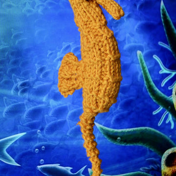 Seahorse