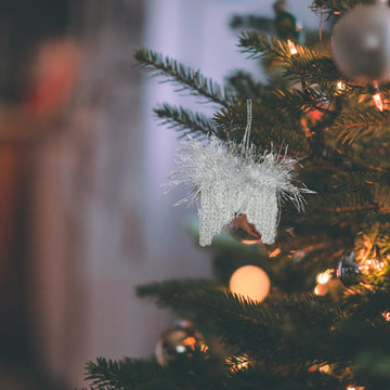 Angel Wings Ornament