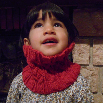 Plessis (cowl)