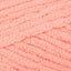 Coral Blossom (04747)