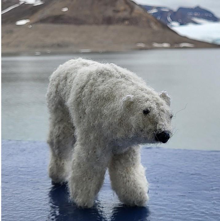 Polar bear