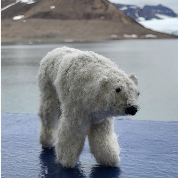 Polar bear
