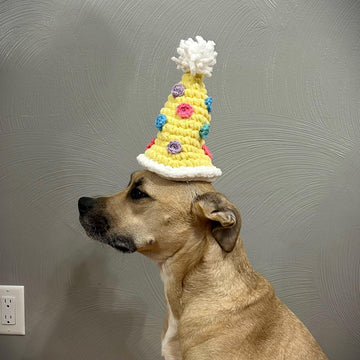 Dog Birthday Hat