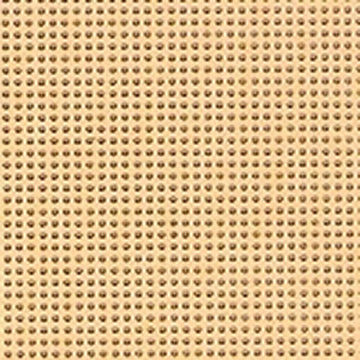 Cantaloupe