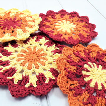 Sunshine Coasters