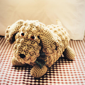 Posh Puppy