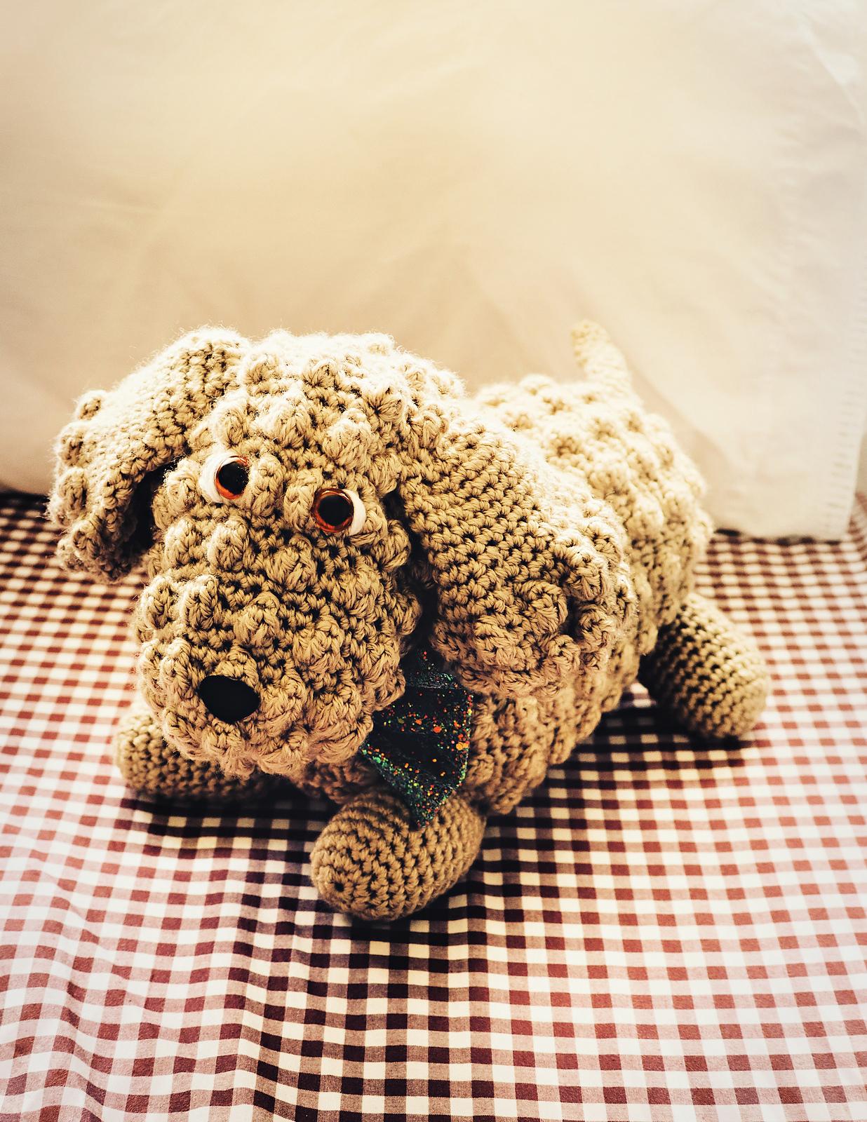 Posh Puppy