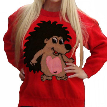 Cartoon Hedgehog Jumper