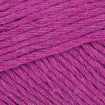Hanoi Plum