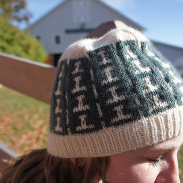 I-Beam Hat