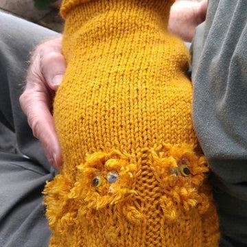 Looney Lions Doxie Sweater