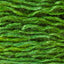 Hemlock (07)