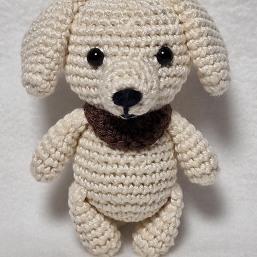 Labrador Retriever Dog